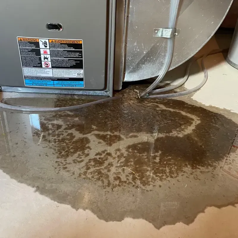 Appliance Leak Cleanup in Elmore, AL